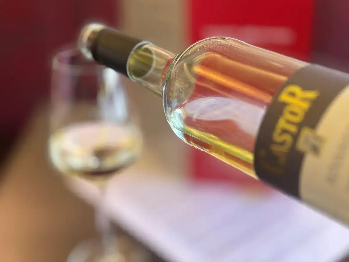 Wein in der Genusszeit in Treis-Karden an der Mosel